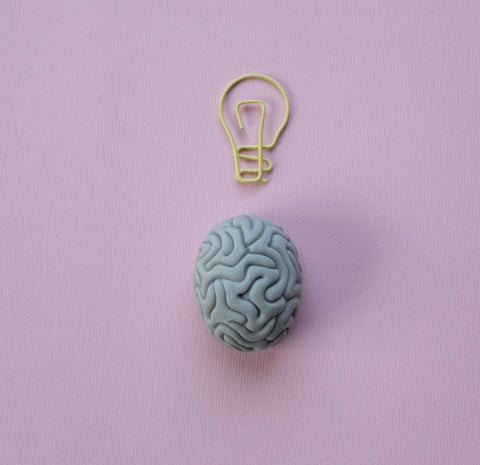 ¿Es posible regenerar la memoria cerebral?
