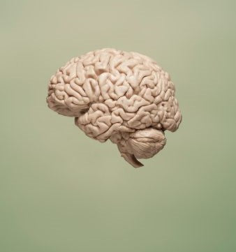 ¿Neurotransmisores = Estado de ánimo?