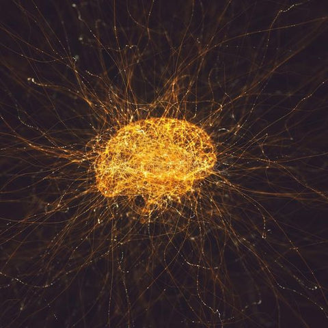 Entendiendo las 5 ondas cerebrales para una consciencia superior
