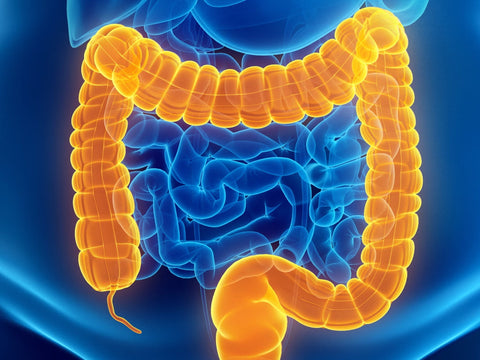 Cómo mejorar tu salud intestinal