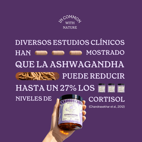 Ashwagandha Extracto