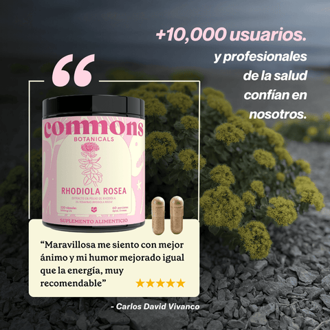 Rhodiola Extracto