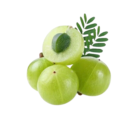 Amla Extracto