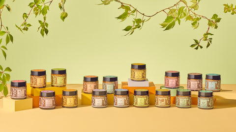 AYUDAN A RESTAURAR, PROTEGER Y CREAR RESILIENCIA EN TU CUERPO