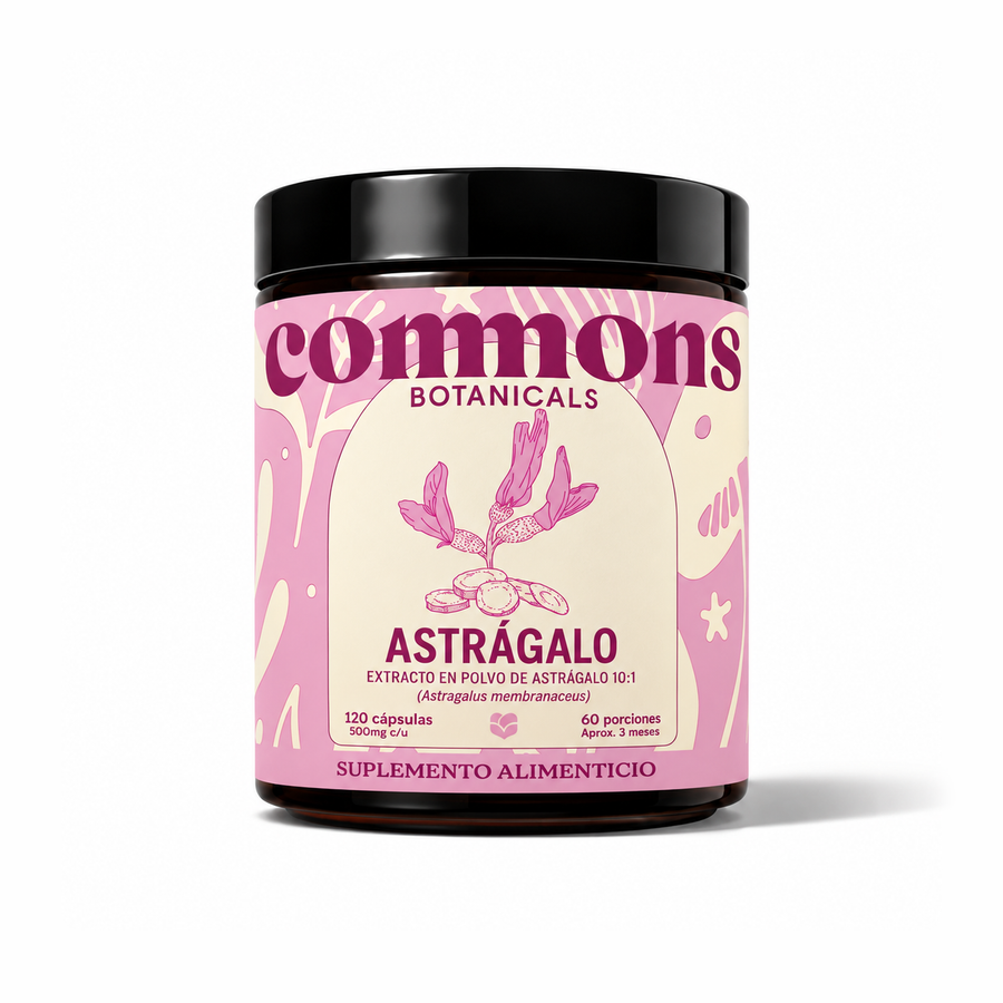 Astrágalo Extracto
