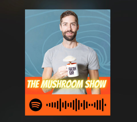 The mushroom show