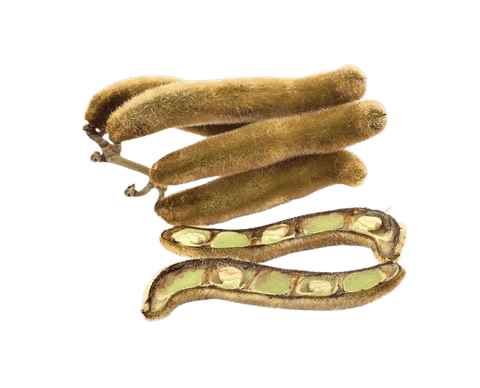 Mucuna Extracto