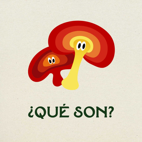 ¿QUÉ SON LOS ADAPTÓGENOS?