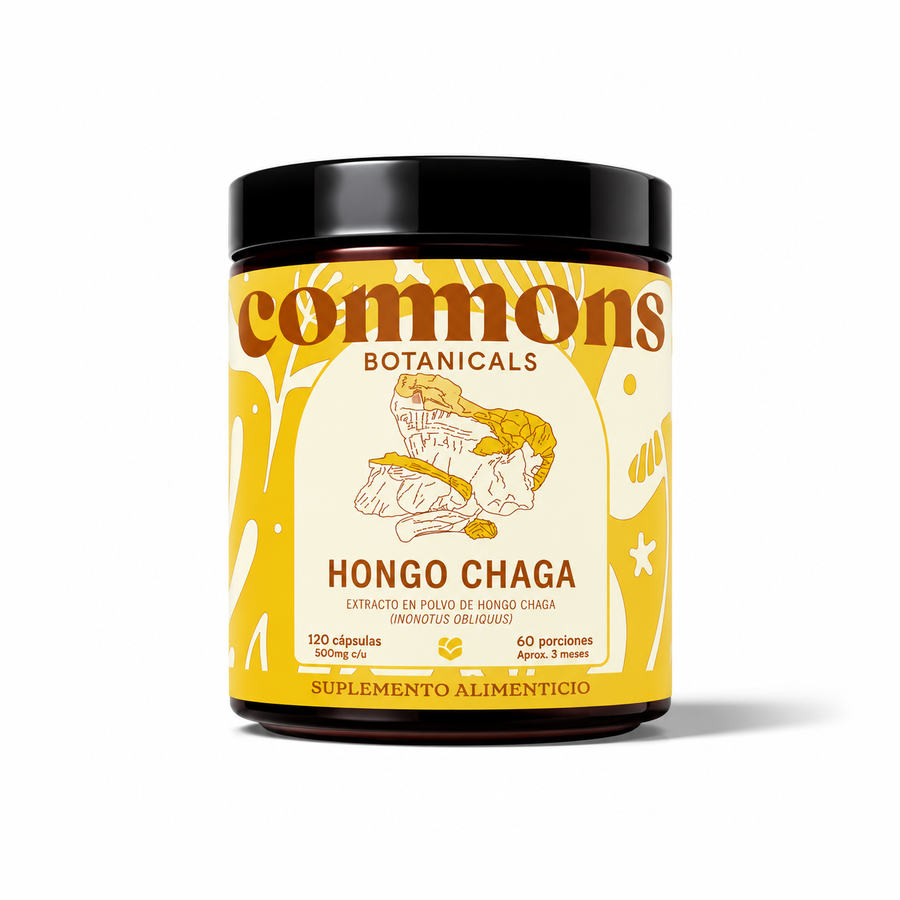 Chaga Extracto