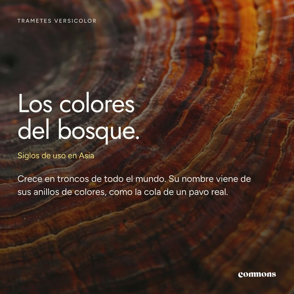 Cola de Pavo · imagen 2