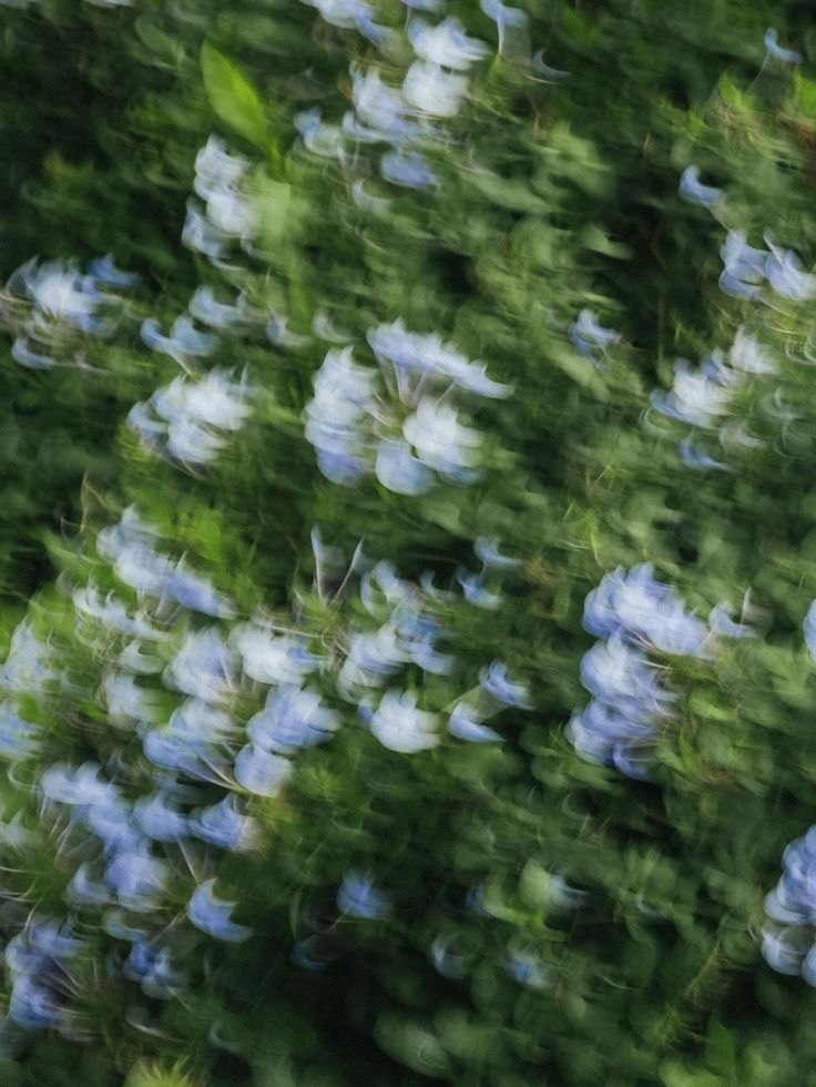 Preguntas frecuentes.