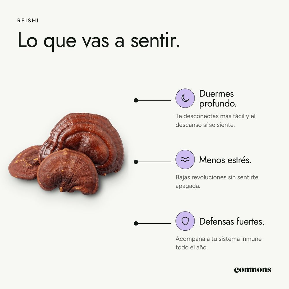 Reishi · imagen 4
