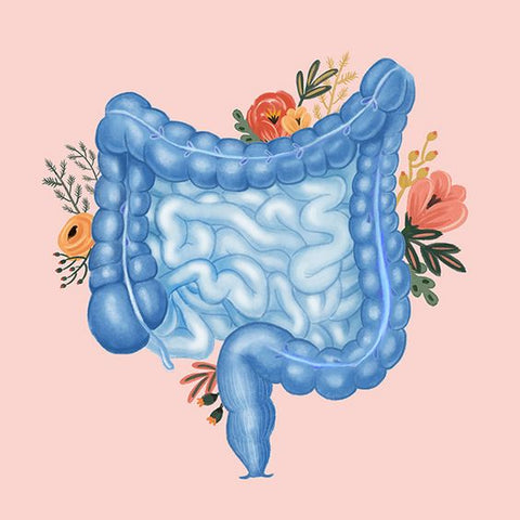 La conexión entre la salud intestinal y las hormonas