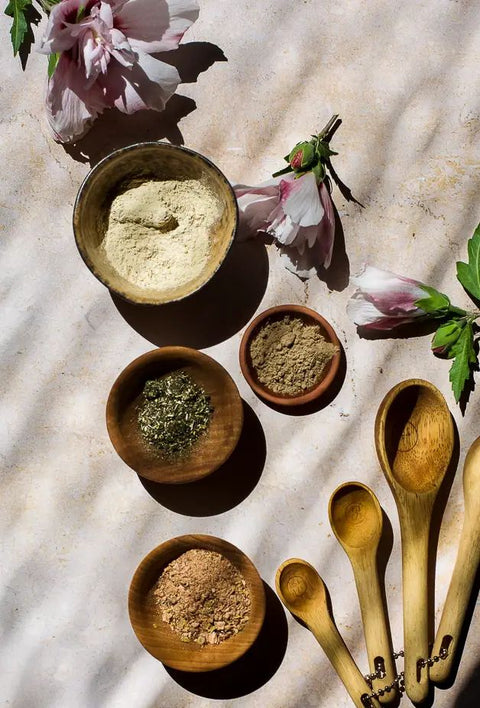 Adaptógenos para estrés: qué son y cómo se usan