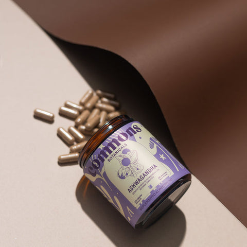 “Ashwagandha 5% Commons extracto premium estandarizado”