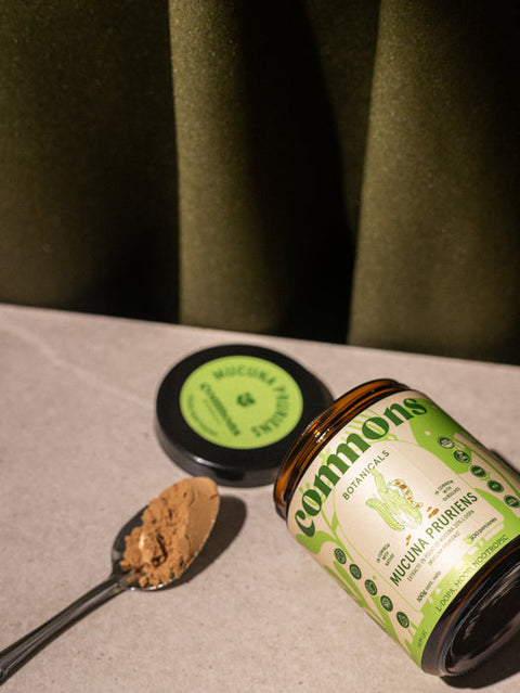 Mucuna: una planta con poderes espirituales y psicoactivos