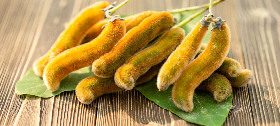 Mucuna pruriens: el frijol de la felicidad