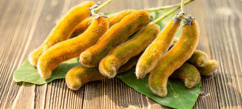 Mucuna Pruriens: Fijol de la felicidad