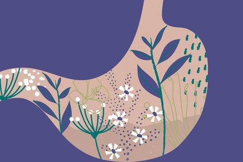 Los hongos y el microbioma