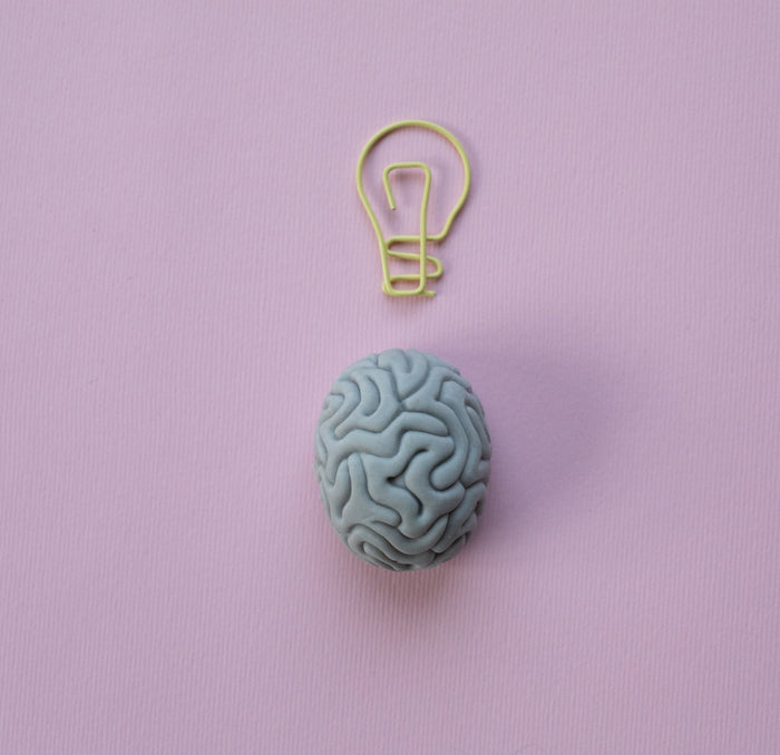 ¿Es posible regenerar la memoria cerebral?