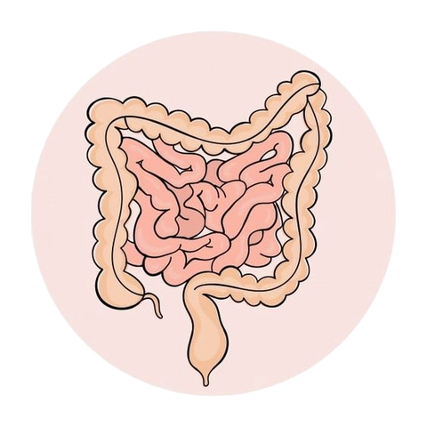 ¿Realmente puedo acelerar mi metabolismo?