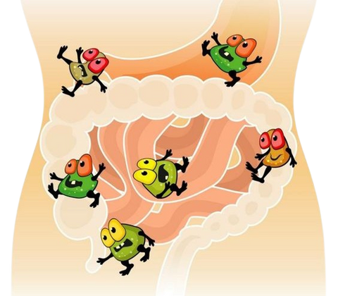 Control intestinal: cómo le afecta la salud digestiva