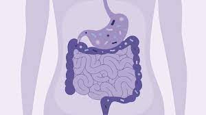 8 alimentos que causan intestino permeable