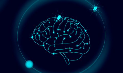 6 hongos nootrópicos