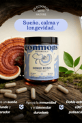 Reishi Extracto