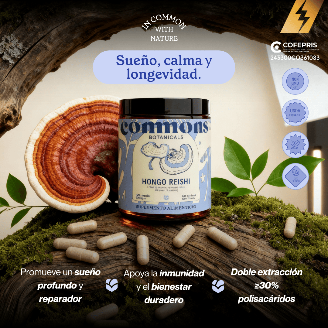 Reishi Orgánico Extracto
