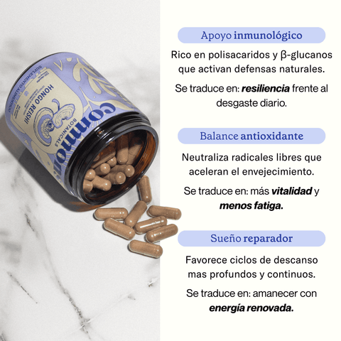Reishi Extracto