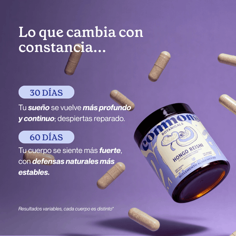 Reishi Extracto