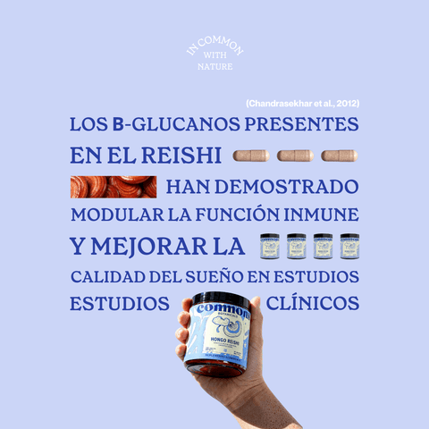 Reishi Extracto