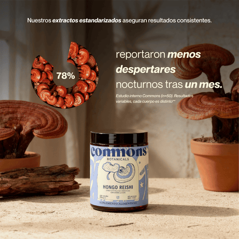 Reishi Extracto