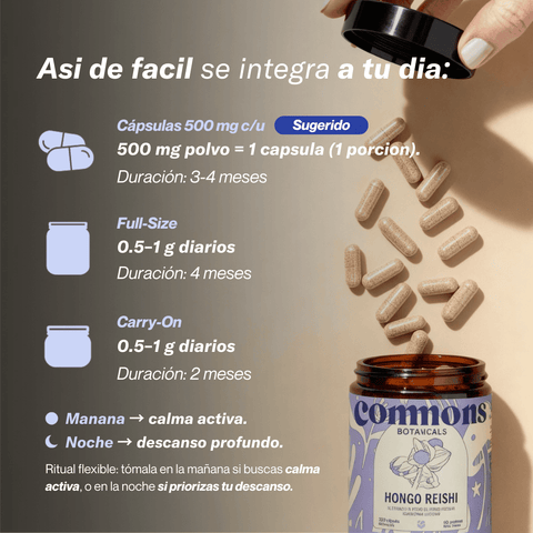 Reishi Extracto