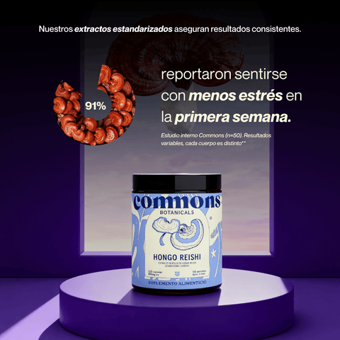 Reishi Extracto