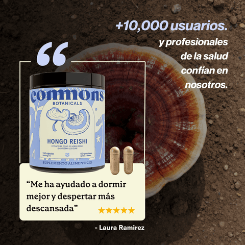 Reishi Extracto