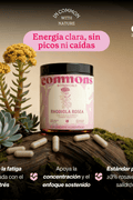 Rhodiola Extracto