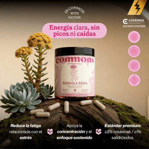 Rhodiola Extracto