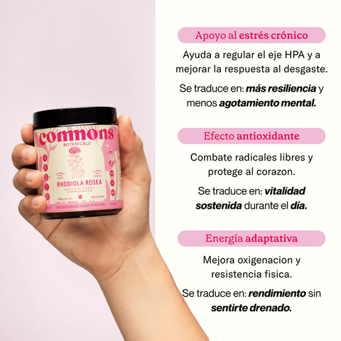 Rhodiola Extracto