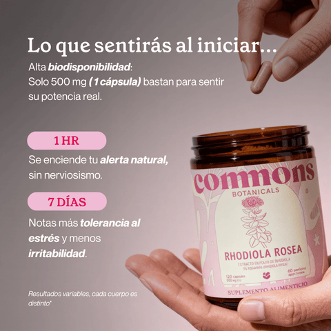 Rhodiola Extracto