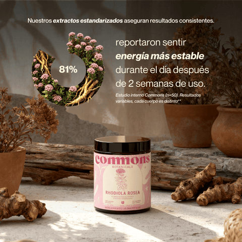 Rhodiola Extracto
