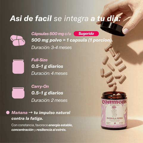 Rhodiola Extracto