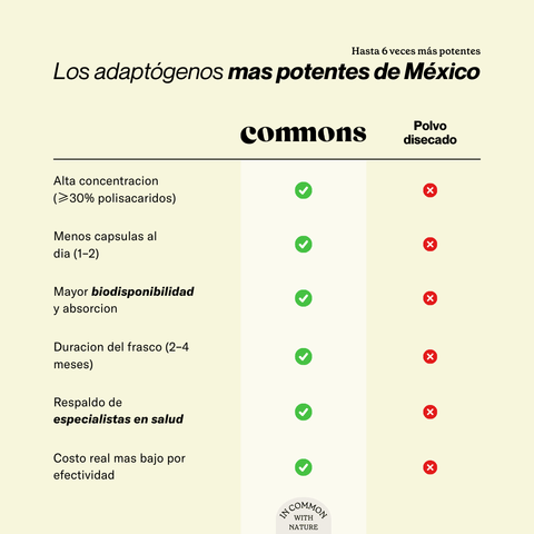 Melena de león Extracto