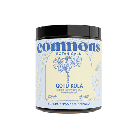 Gotu kola Extracto