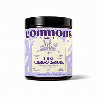 Tulsi Extracto (albahaca sagrada)