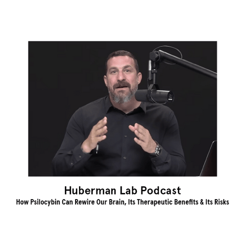Huberman Lab Podcast