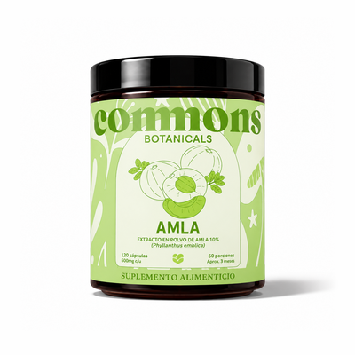 Amla Extracto