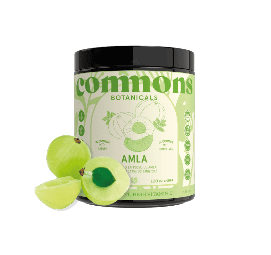 Amla Extracto