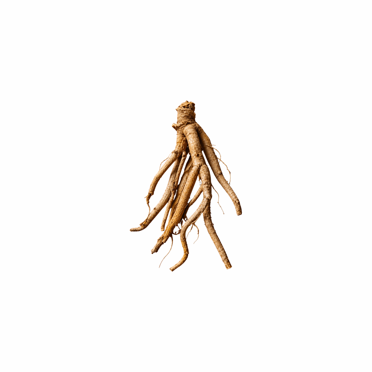 Ashwagandha 5%
